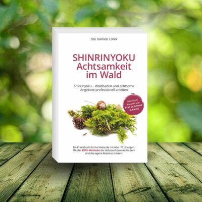 Buch Achtsamkeit im Wald